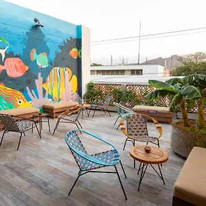  Auberge de jeunesse Distrito Hostel